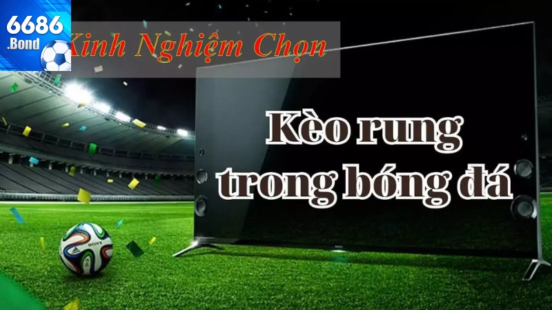 Cách đánh rung bóng đá dễ thắng